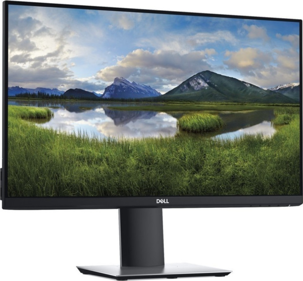 Dell P2419H
