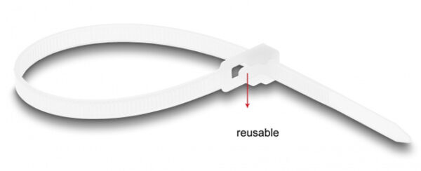 DELOCK reusable δεματικά καλωδίων 18642, 200x4.8mm, λευκά, 100τμχ