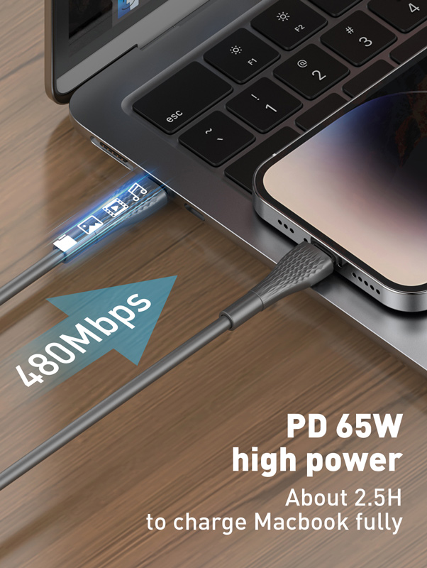 LDNIO καλώδιο USB-C σε USB-C LC671C, 65W PD, 1m, γκρι