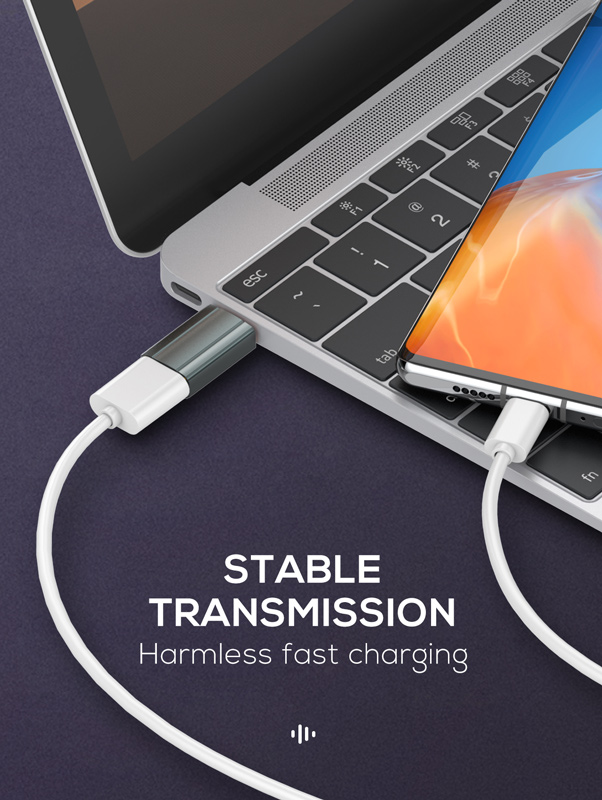 LDNIO αντάπτορας USB-C σε USB LC140, αρσενικό σε θηλυκό, γκρι