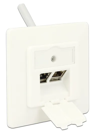 DELOCK Wall Outlet για Keystone 86219, 2 Port