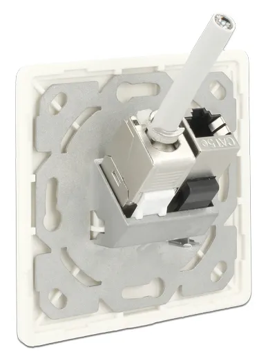 DELOCK Wall Outlet για Keystone 86219, 2 Port