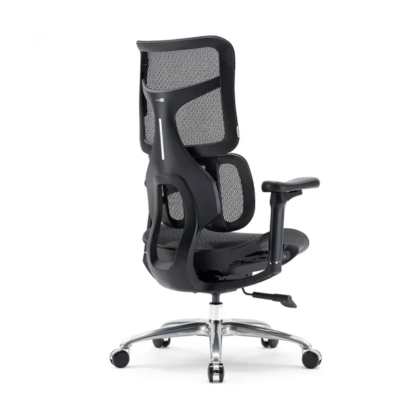 SIHOO ERGONOMIC CHAIR DORO S100 BLACK