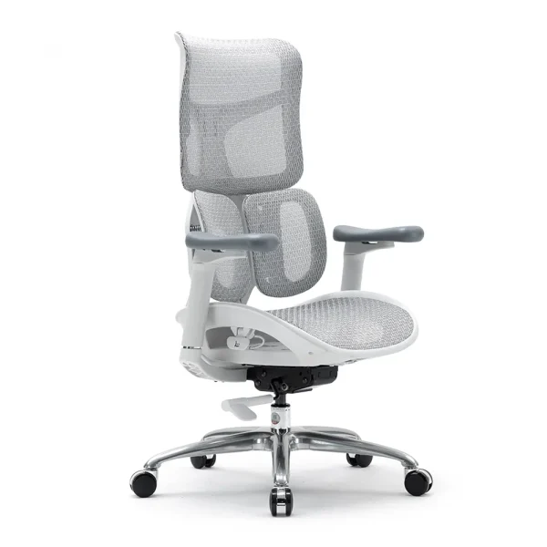 SIHOO ERGONOMIC CHAIR DORO S100 OFF WHITE