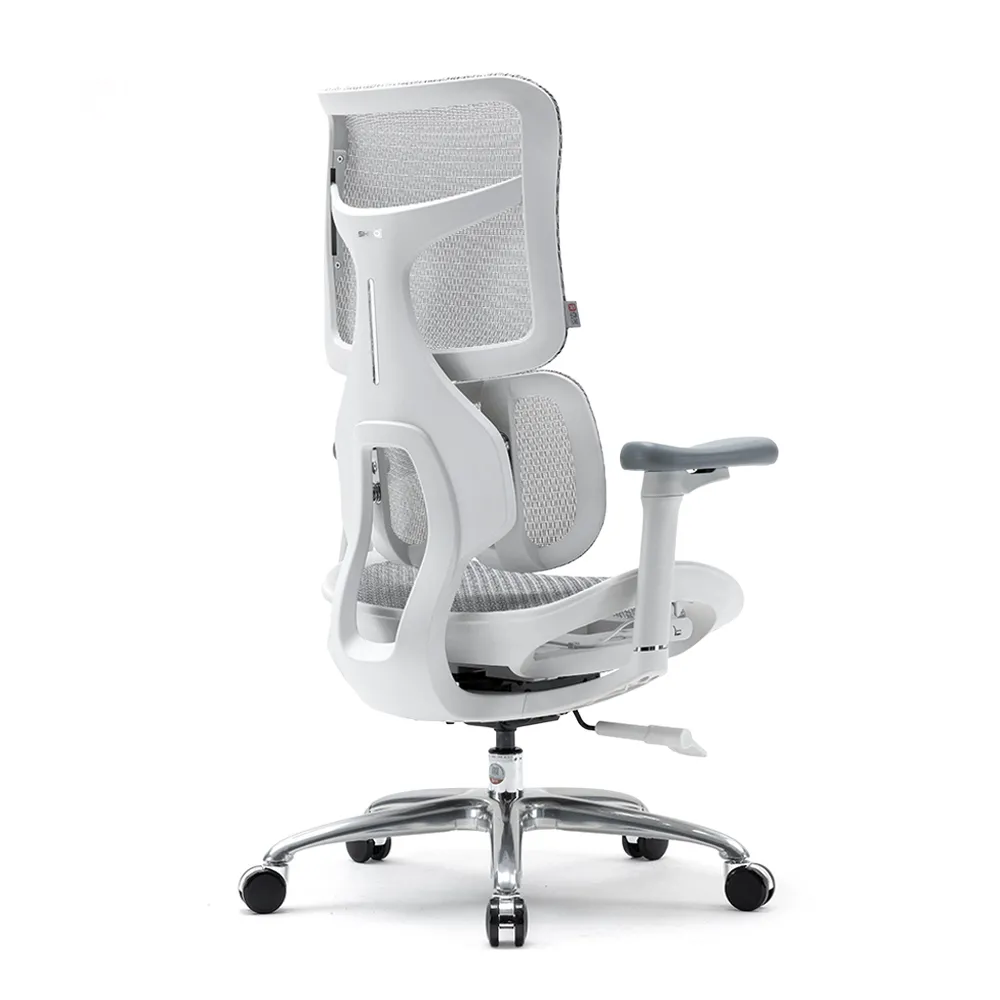 SIHOO ERGONOMIC CHAIR DORO S100 OFF WHITE
