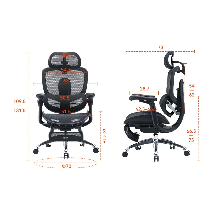 SIHOO ERGONOMIC CHAIR DORO C300 PRO V2 BLACK with Footrest